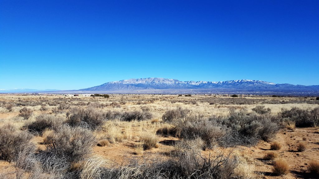 Buying in Volcano Cliffs