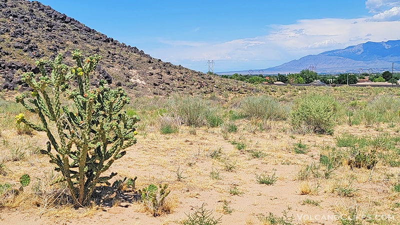 Landscape photo of Anzures Trailhead